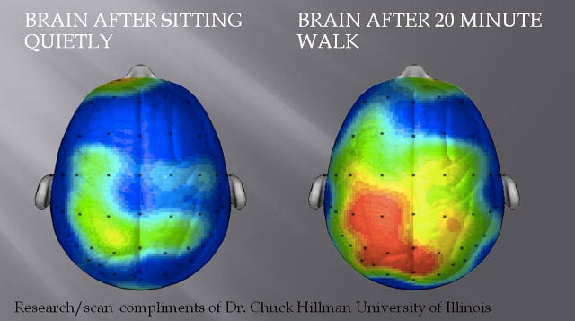 Routinely cited as evidence that exercise is good for our brains http://www.fastcompany.com/3025957/work-smart/what-happens-to-our-brains-when-we-exercise-and-how-it-makes-us-happier