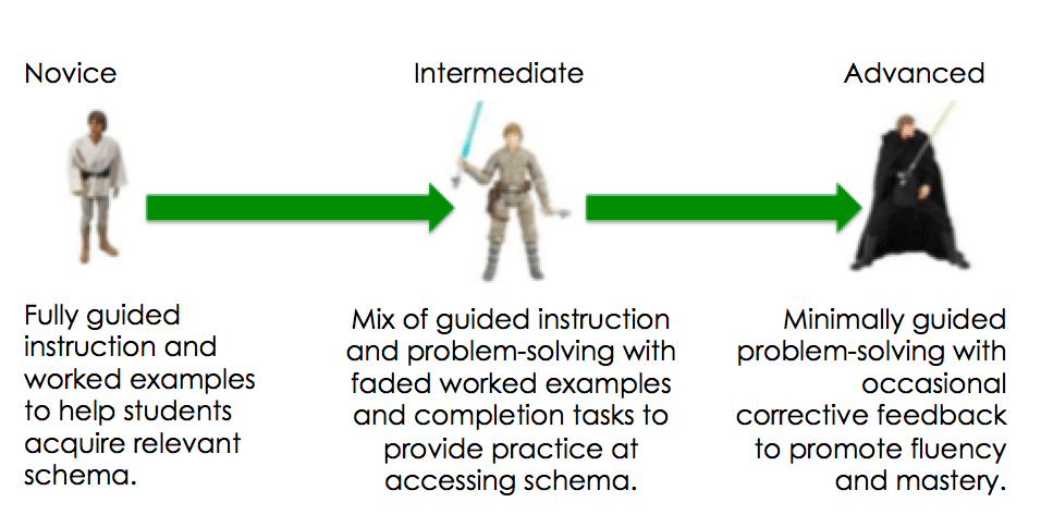 Definitions Of A Novice And Expert Responses